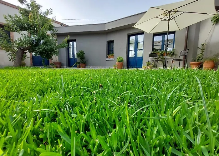 Suasor 阿奇雷亚莱