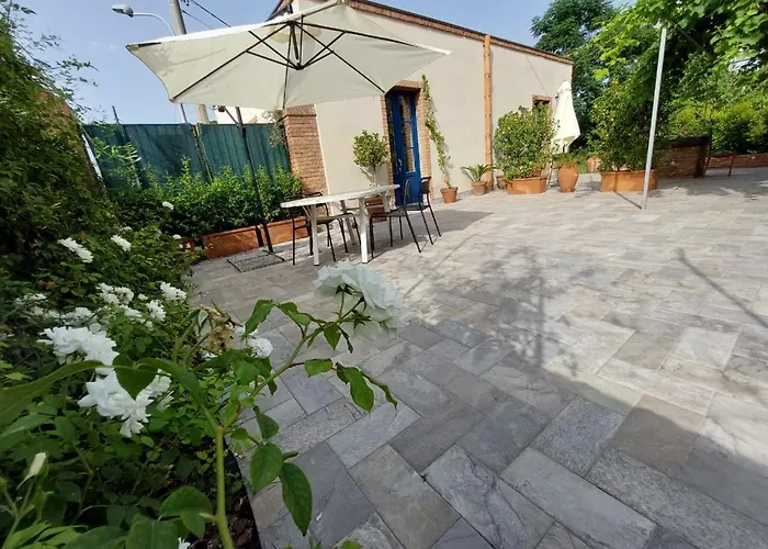 Suasor 阿奇雷亚莱