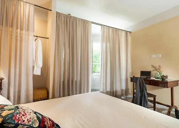 Suasor 阿奇雷亚莱